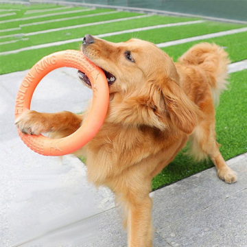 Dog Training Ring